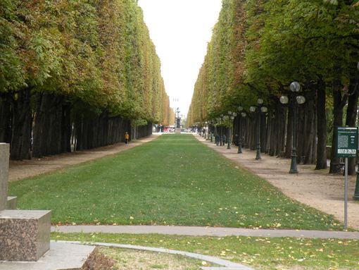  Le Cours Albert 1er